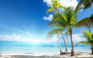 Caribbean sea and coconut palms